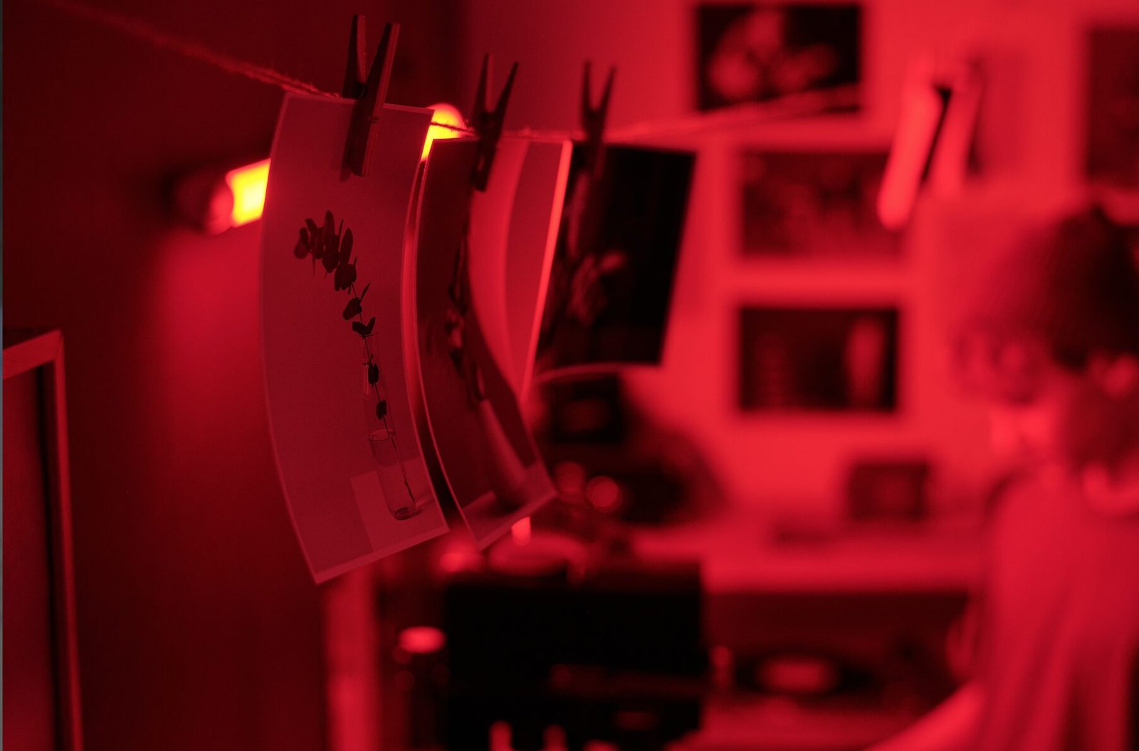 Renta de cuarto oscuro